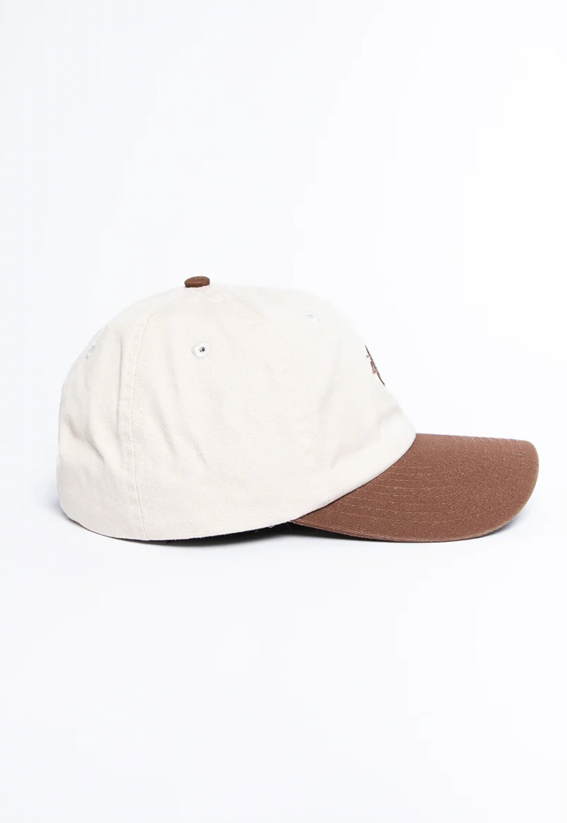 STUSSY STOCK LOW PRO STRAPBACK - MUD